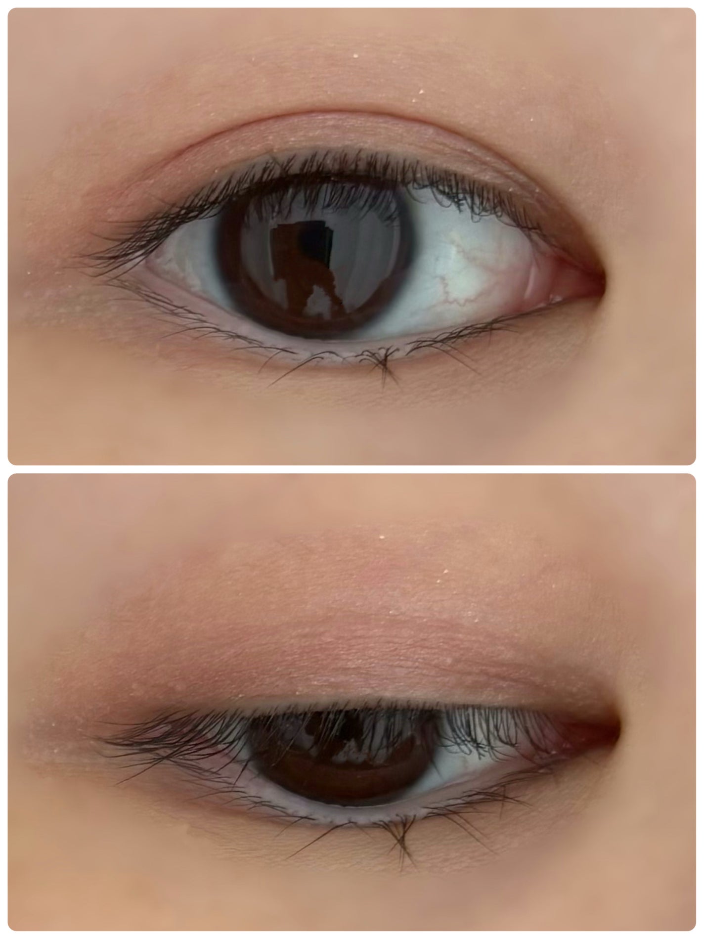 ケイト ポッピングシルエットシャドウ/KATE/アイシャドウパレットを使ったクチコミ(2枚目)