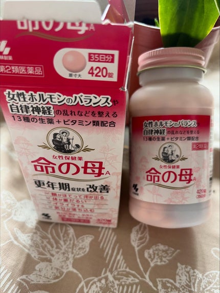 女性保健薬 命の母A (医薬品)/命の母/その他を使ったクチコミ(3枚目)