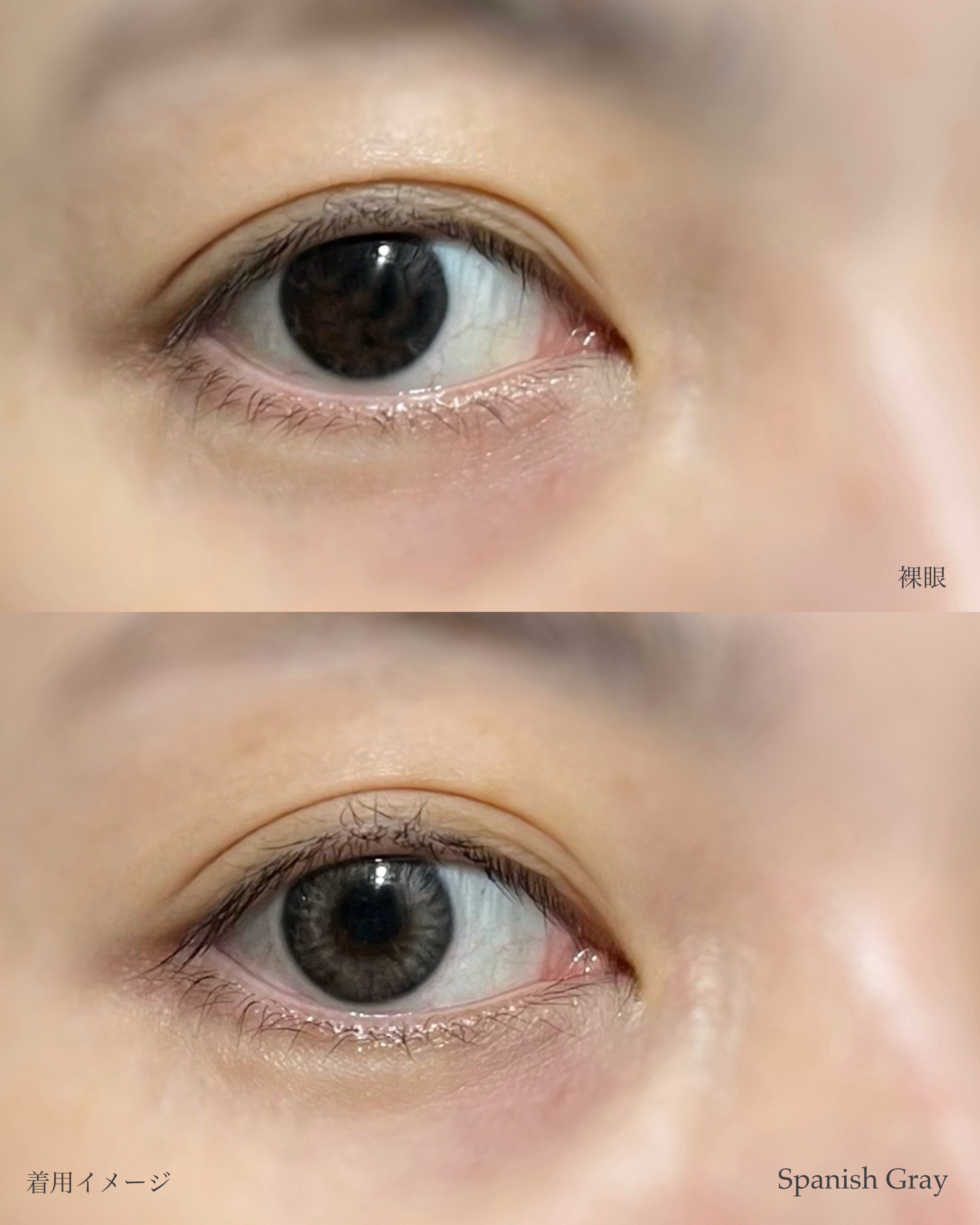 Spanish 1Day(スパニッシュ 1Day)/OLENS/ワンデー（１DAY）カラコンを使ったクチコミ（3枚目）