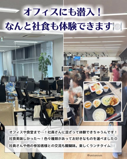 ディセンシア クリーム/DECENCIA/フェイスクリームを使ったクチコミ(5枚目)