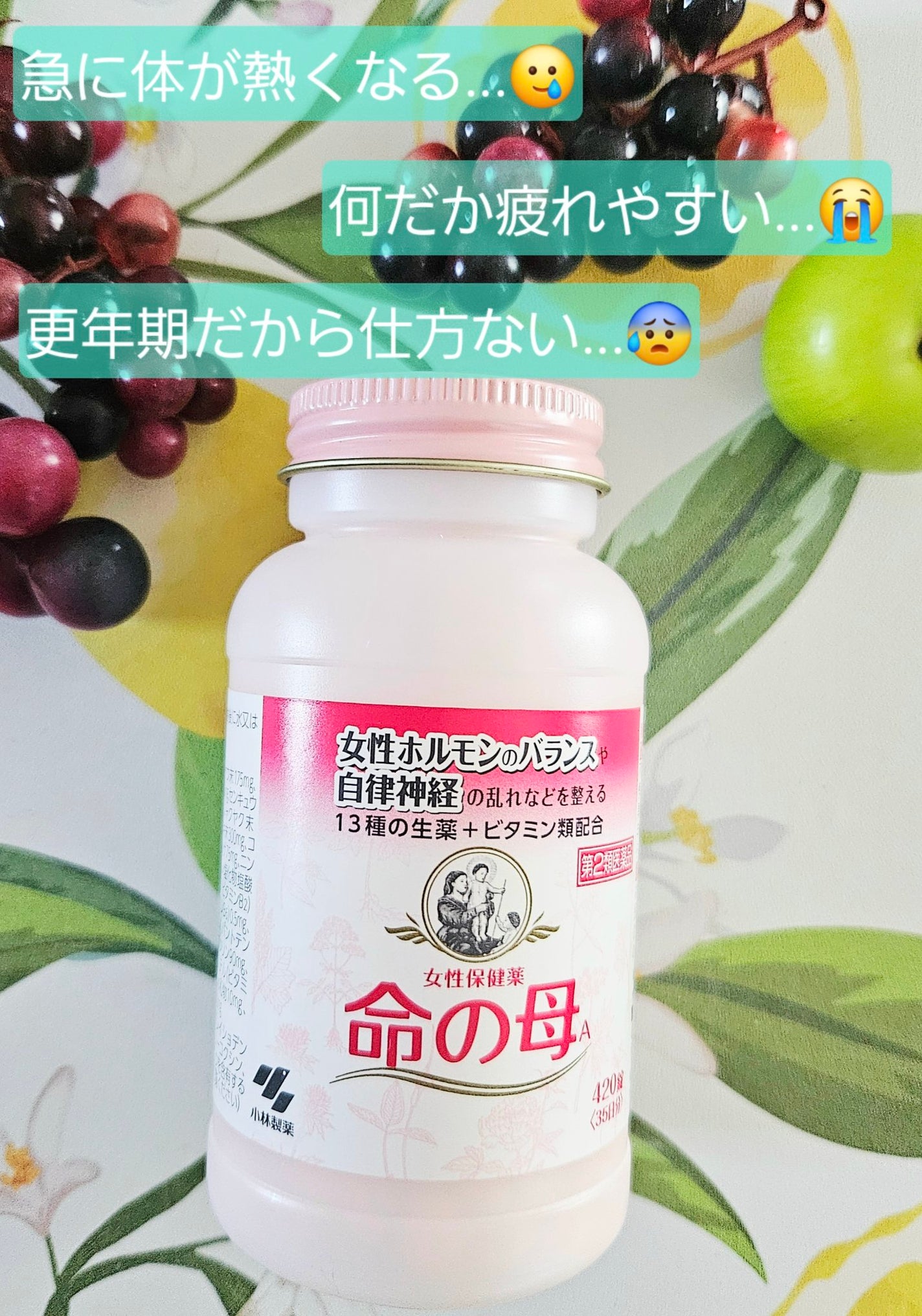 女性保健薬 命の母A (医薬品)/命の母/その他を使ったクチコミ(1枚目)