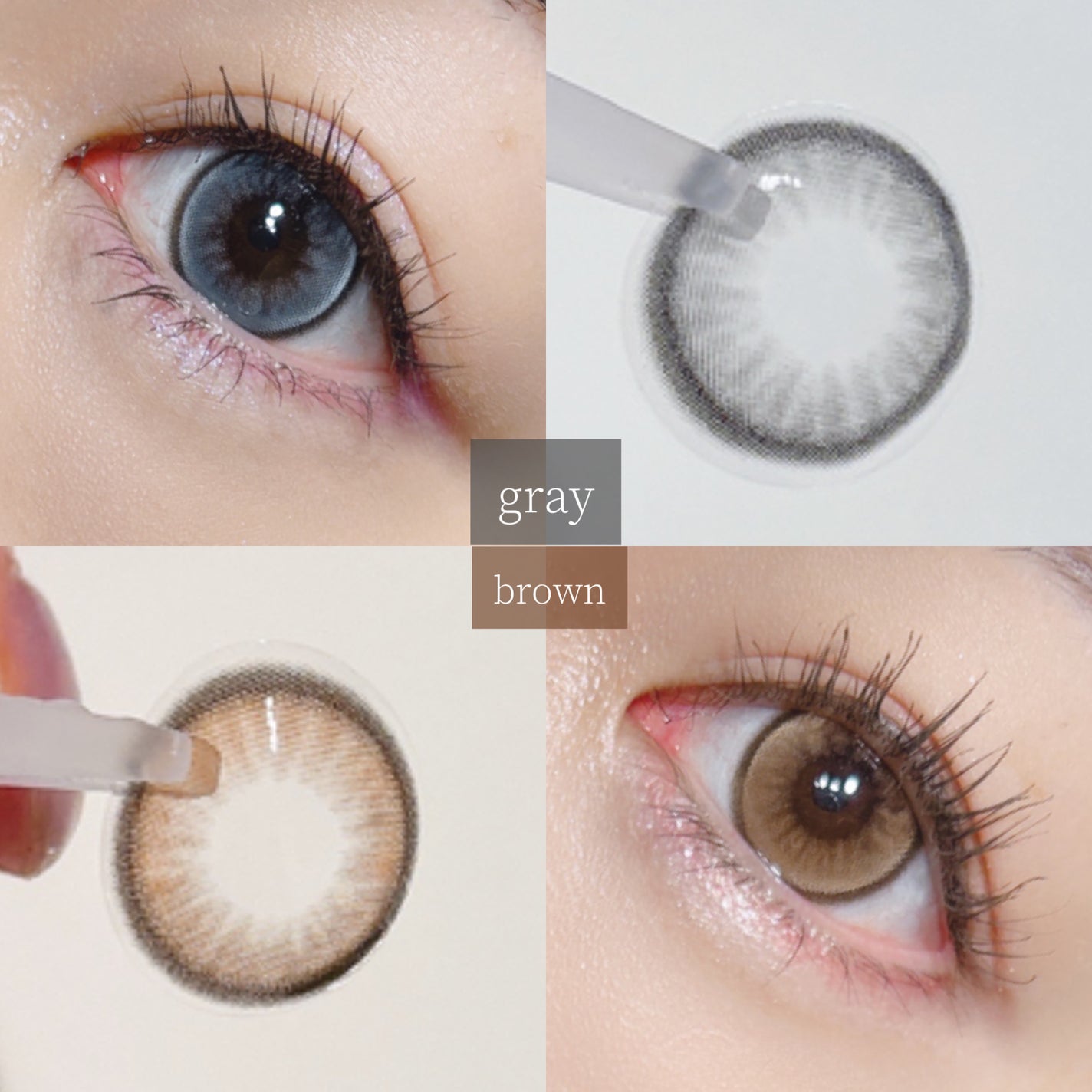 secret tint/OLENS/1ヶ月(1MONTH)カラコンを使ったクチコミ(1枚目)