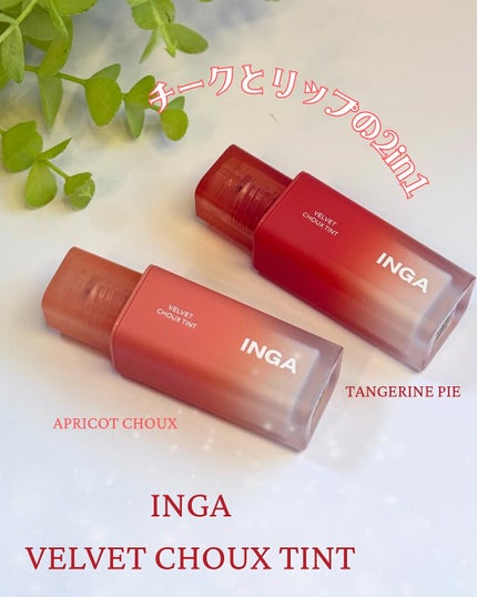 ベルベットシューティント/INGA/リップティントを使ったクチコミ(1枚目)