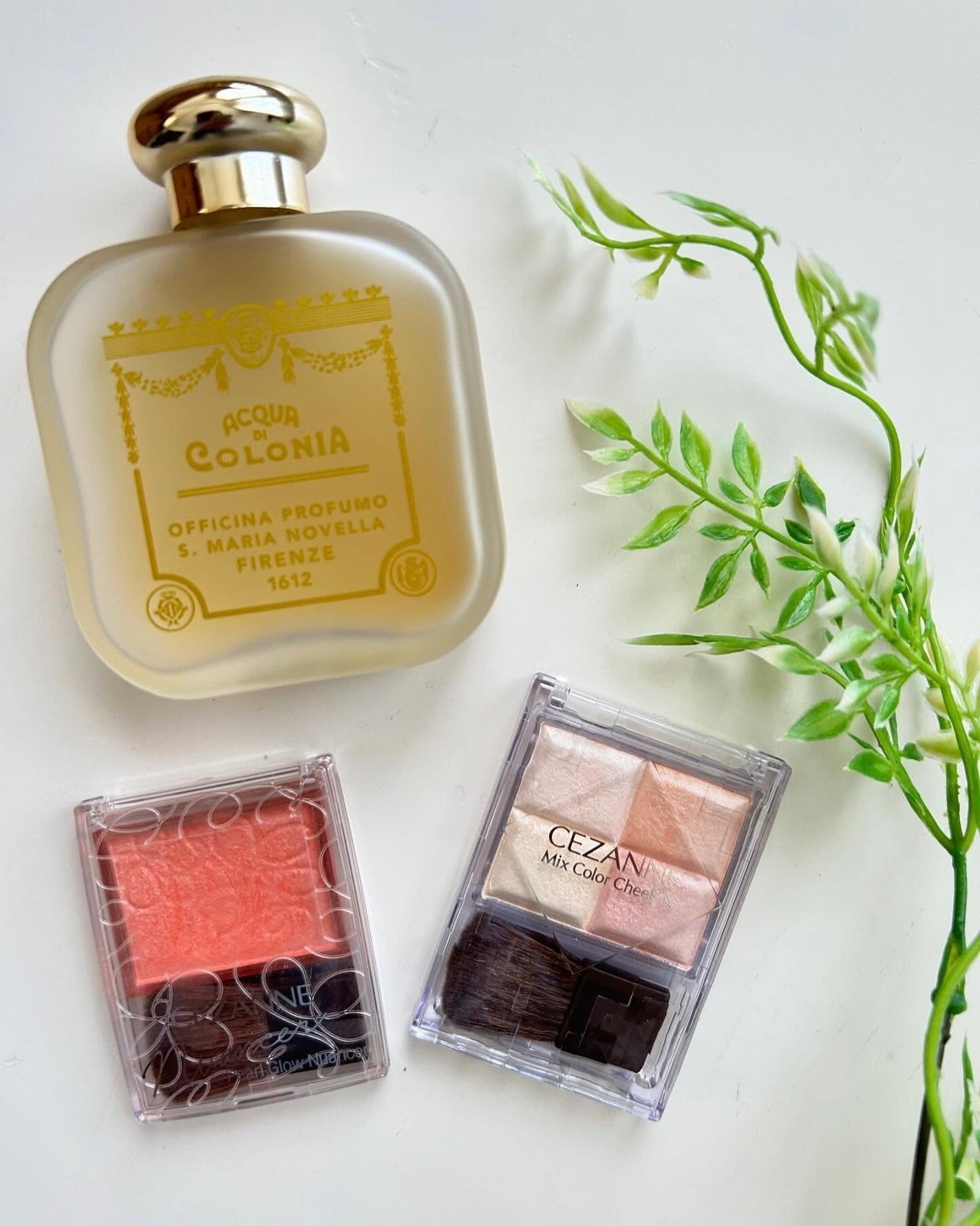 ミックスカラーチークN/CEZANNE/パウダーチークを使ったクチコミ(1枚目)