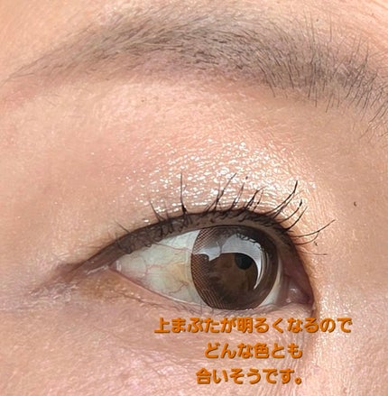 アディクション ザ シングル アイシャドウ スパークル/ADDICTION/単色アイシャドウを使ったクチコミ(5枚目)