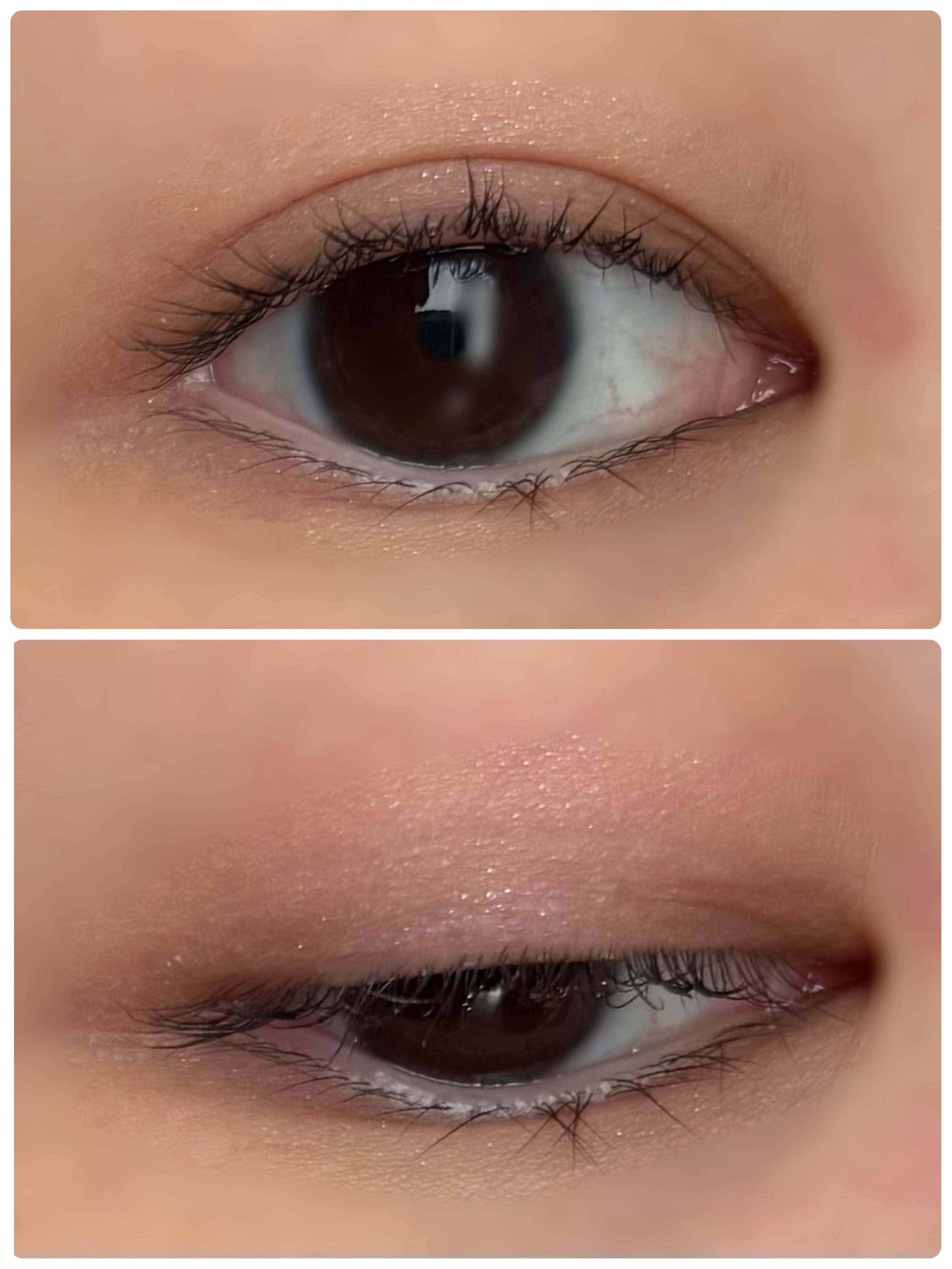 ケイト メロウブラウンアイズ/KATE/アイシャドウパレットを使ったクチコミ（2枚目）