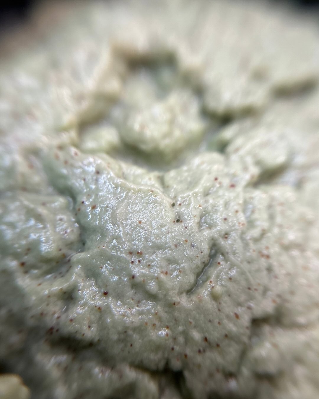 ritan on LIPS 「「Offlatマシューピールスクラブ」が届いたので早速使ってみ..」(5枚目)