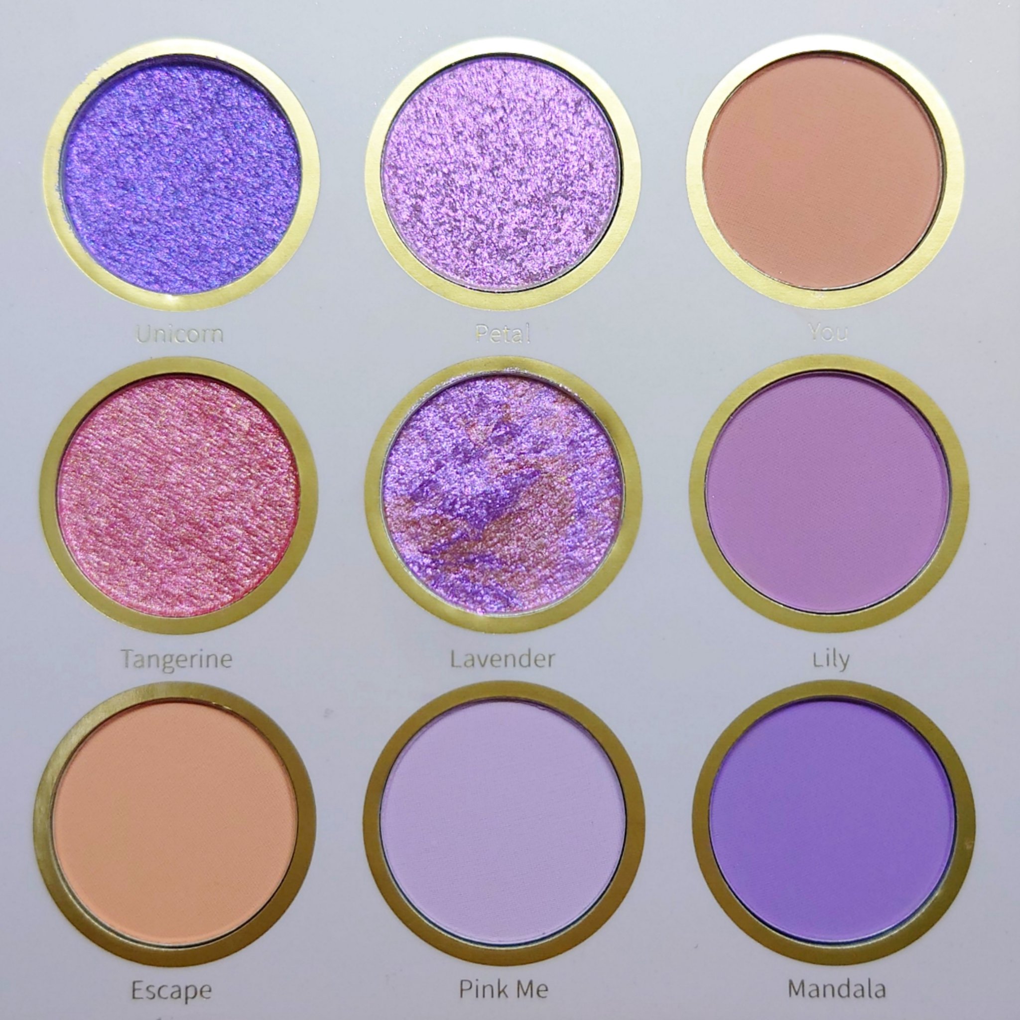 ラプソディアイパレット/SHEGLAM/アイシャドウパレットを使ったクチコミ（2枚目）