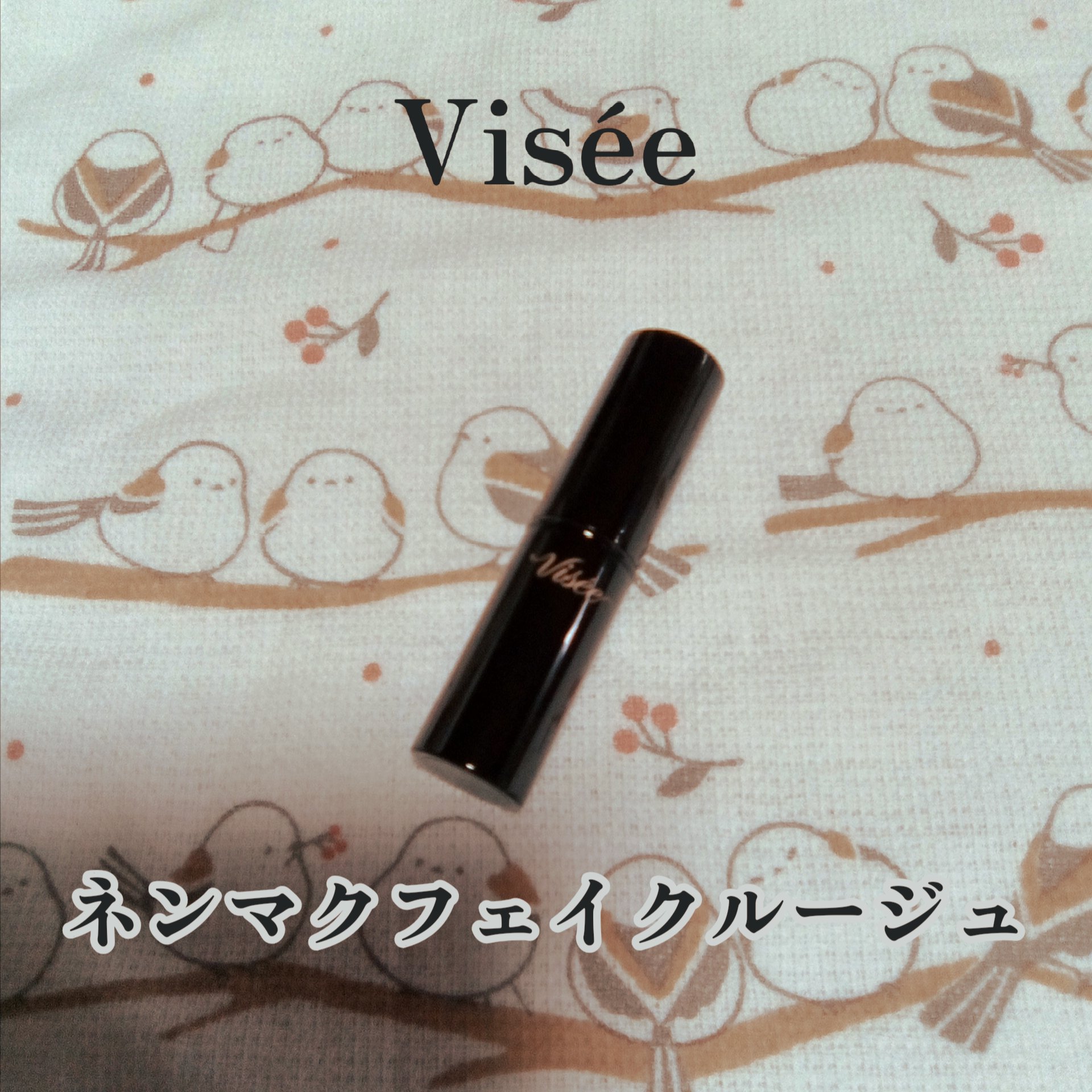ネンマクフェイク ルージュ/Visée/口紅を使ったクチコミ（1枚目）