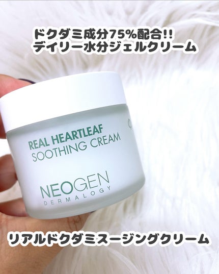 リアルドクダミスージングクリーム/NEOGEN/フェイスクリームを使ったクチコミ(4枚目)