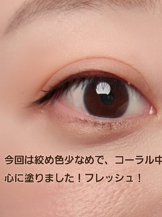 ベターミーアイパレット/2aN/マルチパレットを使ったクチコミ(2枚目)