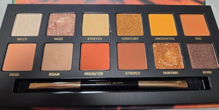 エクスプローラ12色 動物アイシャドウパレット 虎/PERFECT DIARY/アイシャドウパレットの画像
