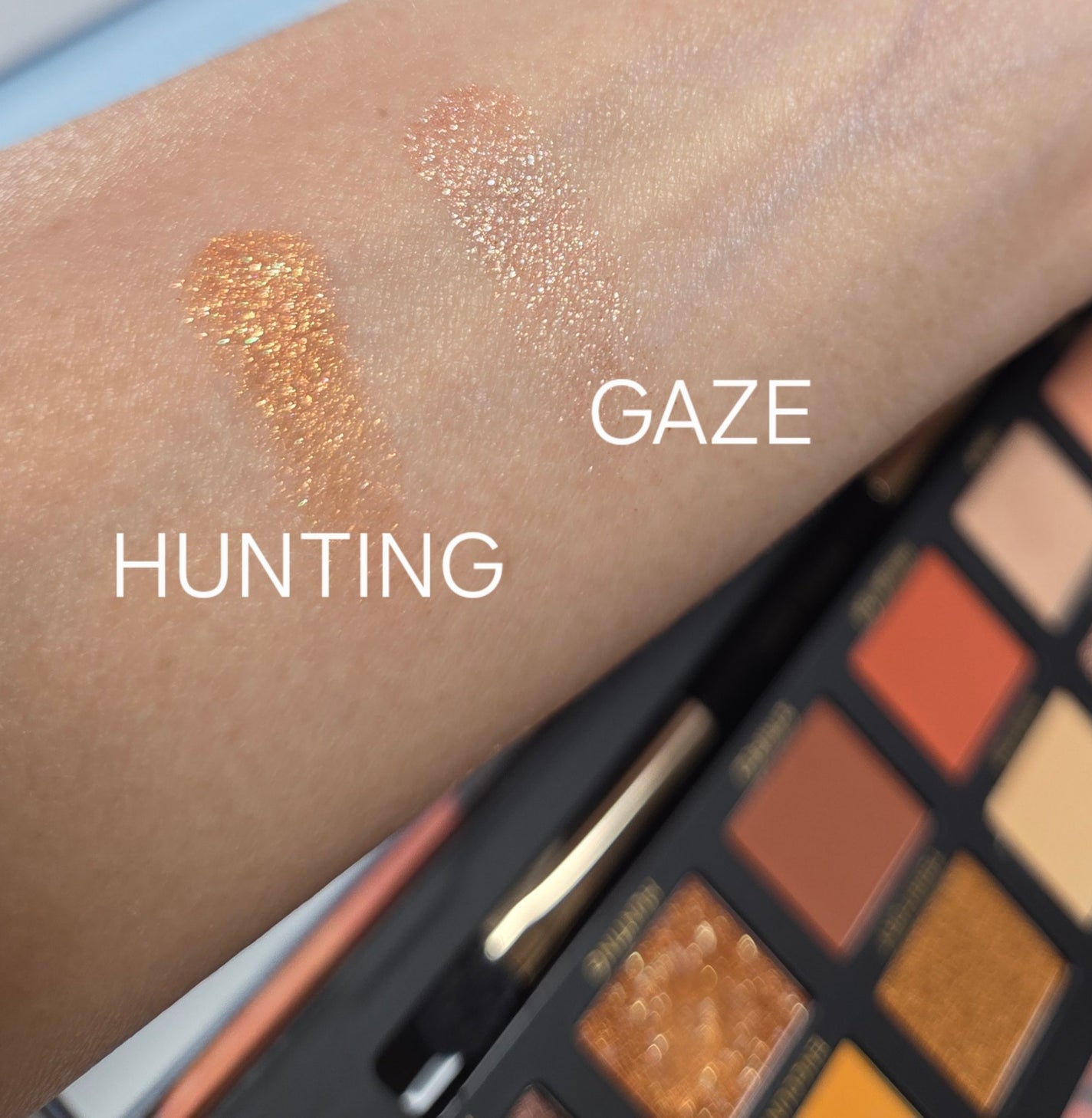 エクスプローラ12色 動物アイシャドウパレット/PERFECT DIARY/アイシャドウパレットを使ったクチコミ(5枚目)