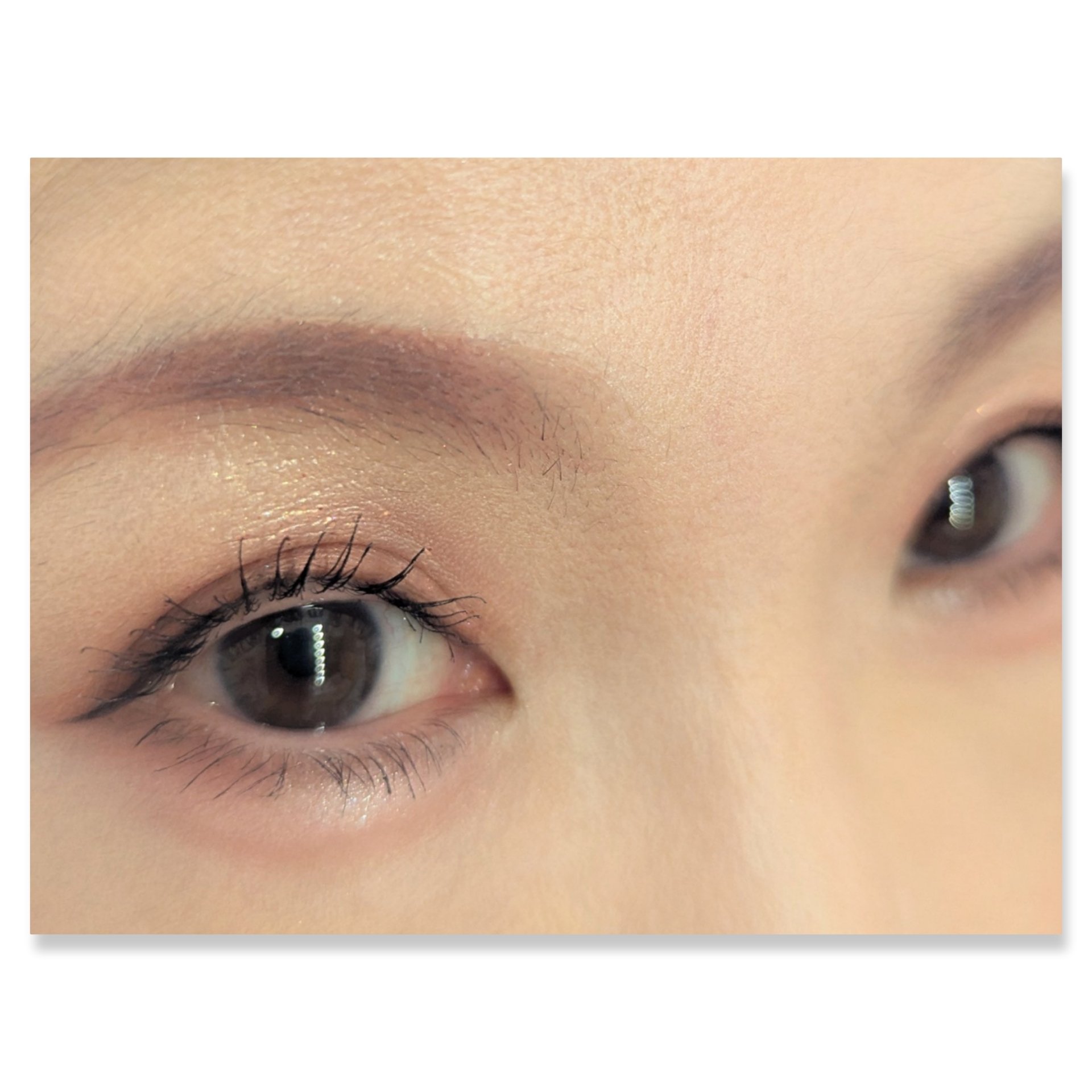 ベターザンパレット/rom&nd/アイシャドウパレットを使ったクチコミ（2枚目）