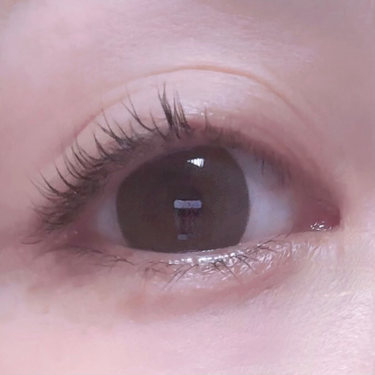 ENRICHED LASH ＆ BROW SELF PERM KIT/MARSHIQUE/その他キットセットを使ったクチコミ（3枚目）