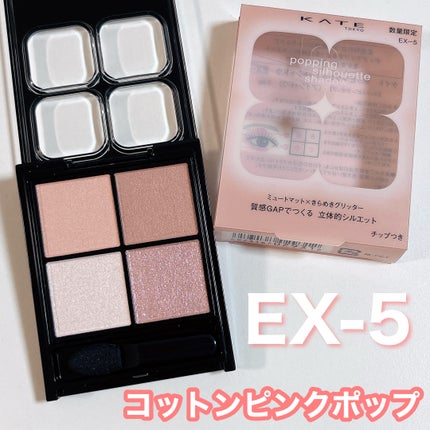 ケイト ポッピングシルエットシャドウ/KATE/アイシャドウパレットを使ったクチコミ(7枚目)