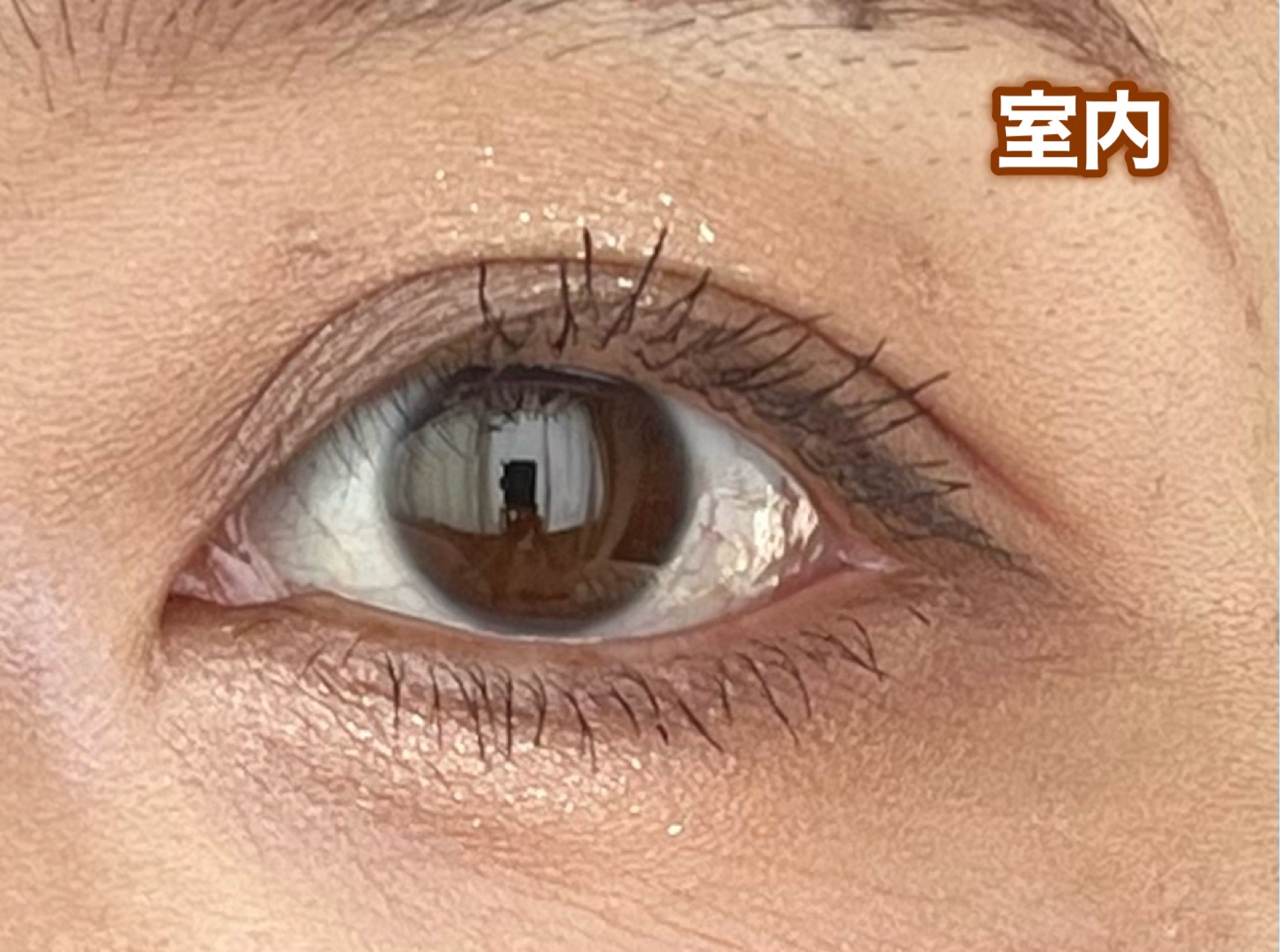 THE アイパレR/b idol/アイシャドウパレットを使ったクチコミ（2枚目）