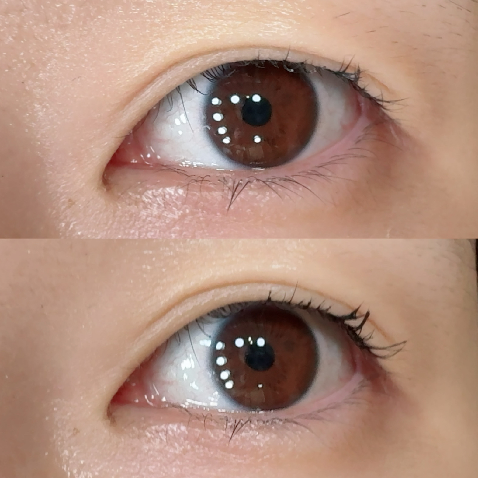 アイラッシュエッセンシャルセラム/epais/まつげ美容液を使ったクチコミ（3枚目）