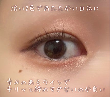 エテュセ アイエディション(カラーパレット)/ettusais/アイシャドウパレットを使ったクチコミ(2枚目)