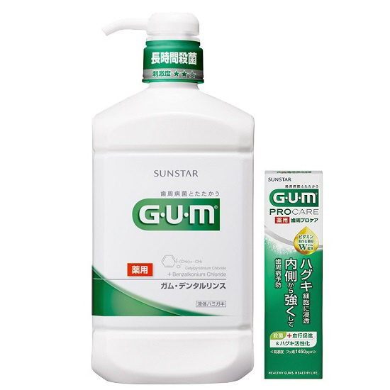 デンタルリンス レギュラー960mL+ペースト22g