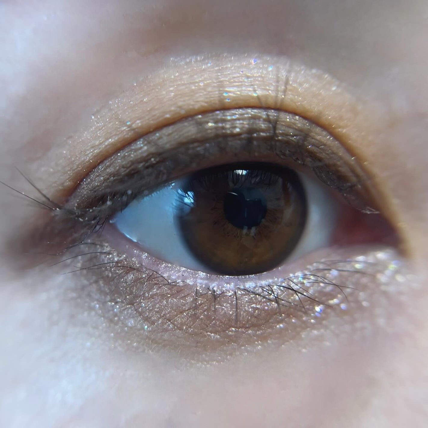 シグニチャー カラー アイズ/SUQQU/アイシャドウパレットを使ったクチコミ(5枚目)