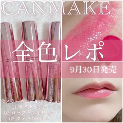 ラスターヴェールルージュ/キャンメイク/口紅を使ったクチコミ(1枚目)