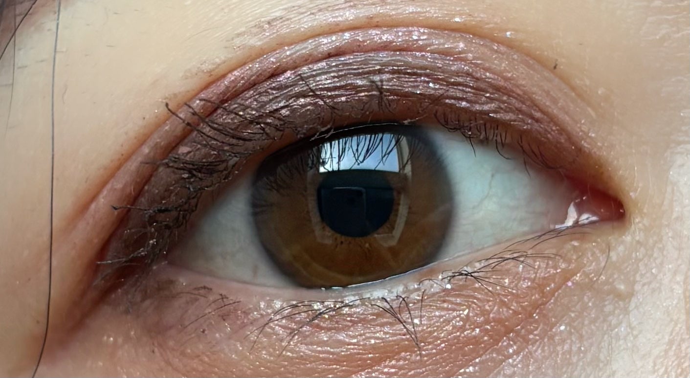 ナイストゥミーチュートランク/MAJOLICA MAJORCA/アイシャドウパレットを使ったクチコミ(2枚目)