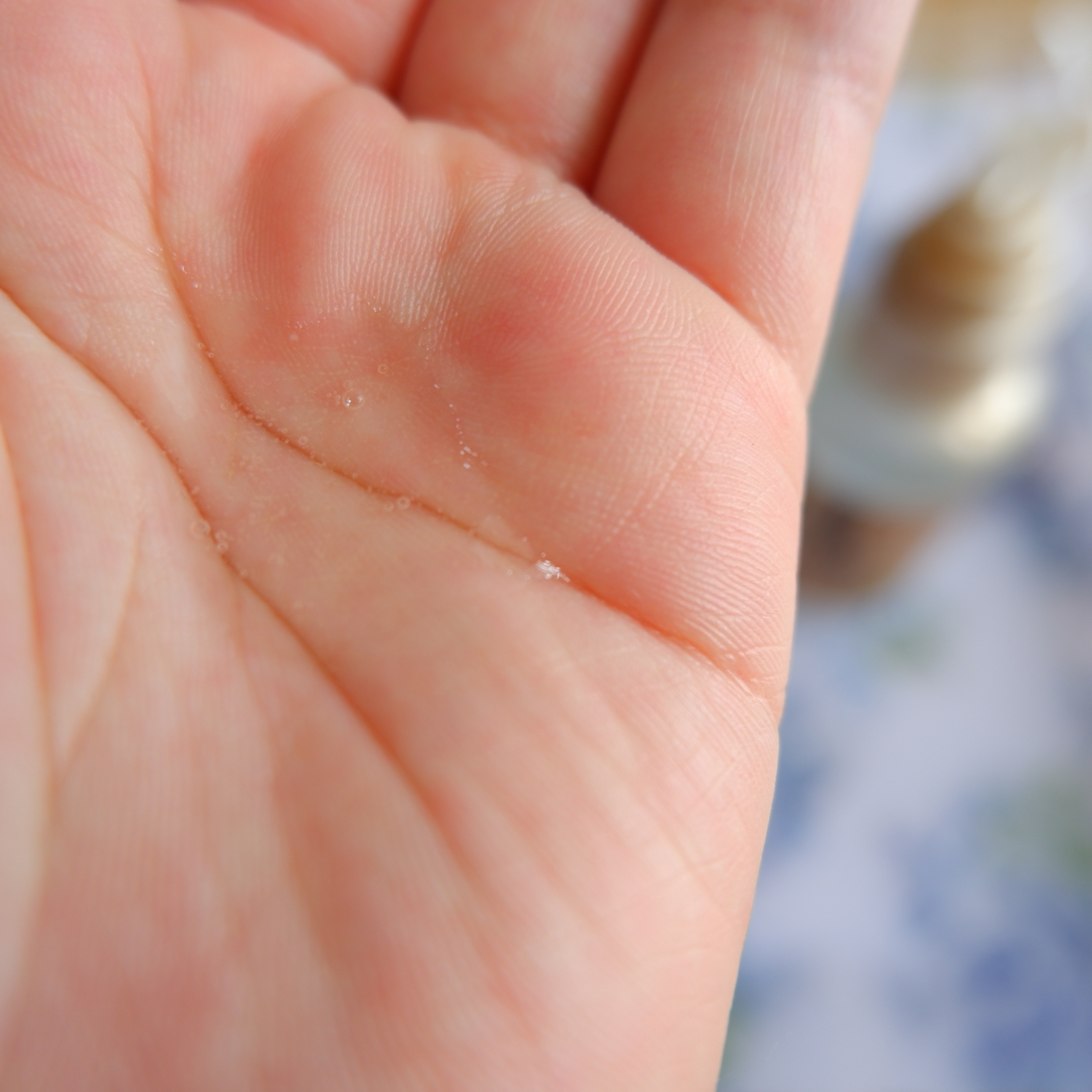 ＳＳ ビオリス ピュアレタッチ キューティクルリペア ヘアオイル/SSビオリス/ヘアオイルを使ったクチコミ（3枚目）