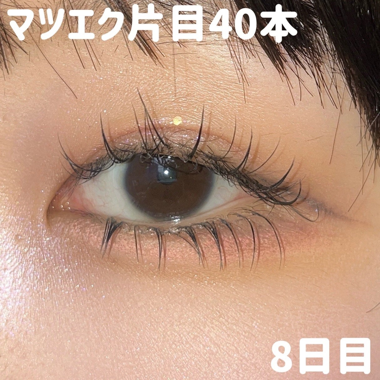 シャドウパレット/dasique/アイシャドウパレットを使ったクチコミ(1枚目)