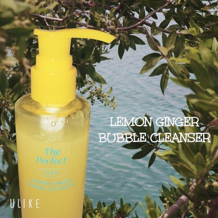 ザ・パーフェクトレモンジンジャーバブルクレンザー/Ariul/洗顔フォームを使ったクチコミ(1枚目)