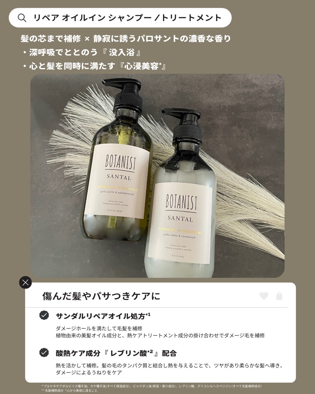 ãã¿ãã¹ã ãµã³ã¿ã« ãªãã¢ãªã€ã«ã€ã³ã·ã£ã³ããŒ/ããªãŒãã¡ã³ã/BOTANIST/åžè²©ã·ã£ã³ããŒã䜿ã£ãã¯ãã³ãïŒ2æç®ïŒ