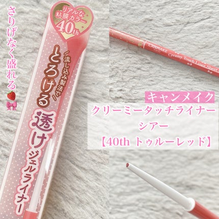 クリーミータッチライナー シアー/キャンメイク/ジェルアイライナーを使ったクチコミ(1枚目)