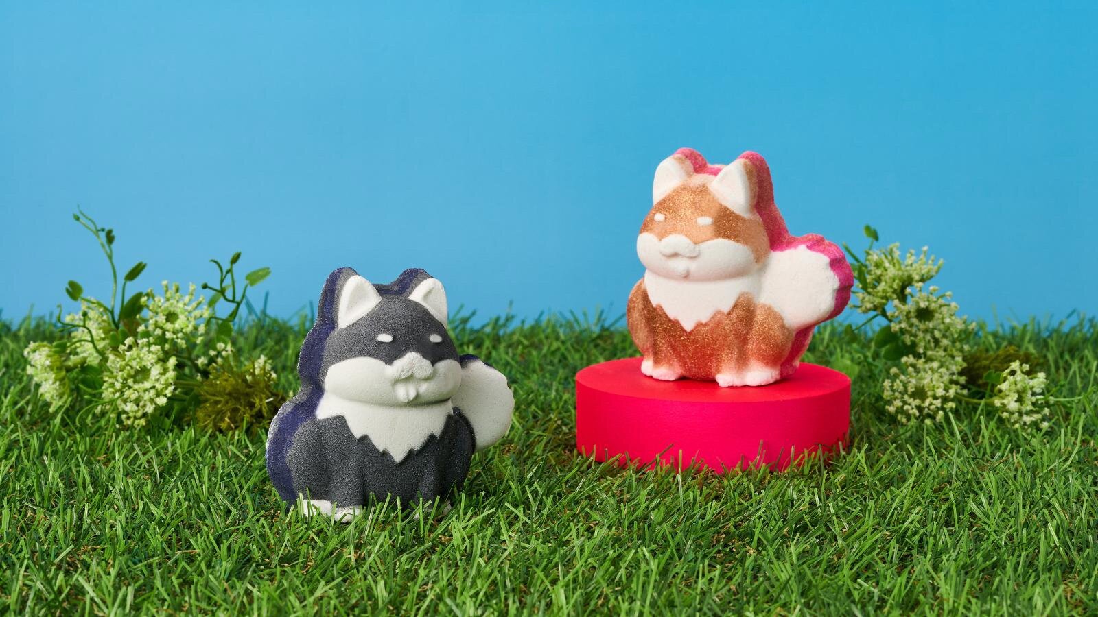 ラッシュのバスボム柴犬でかわいい🥰💕
犬好きの友達にプレゼントしたい🎁