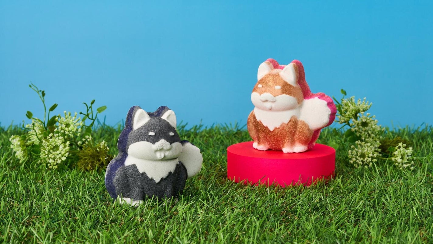 ゆあちゃん♡フォロバするよ on LIPS 「ラッシュのバスボム柴犬でかわいい🥰💕犬好きの友達にプレゼントし..」(1枚目)