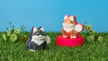 ゆあちゃん♡フォロバするよ on LIPS 「ラッシュのバスボム柴犬でかわいい🥰💕犬好きの友達にプレゼントし..」(1枚目)