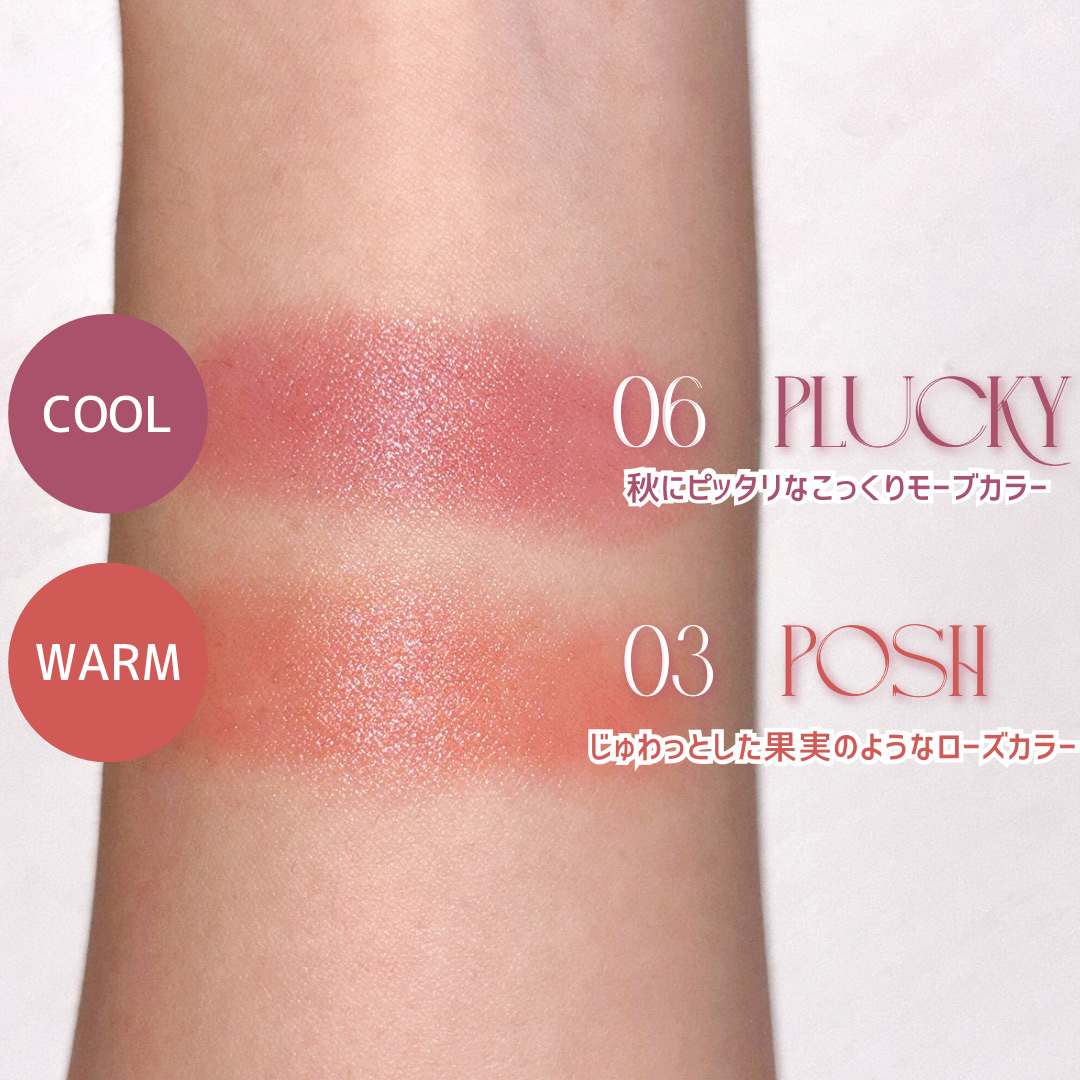 BRAYE LIPSLEEK/BRAYE/口紅を使ったクチコミ（3枚目）