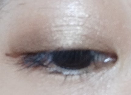 スキニーリッチシャドウ SR04 スモーキーブラウン/excel/アイシャドウパレットの画像