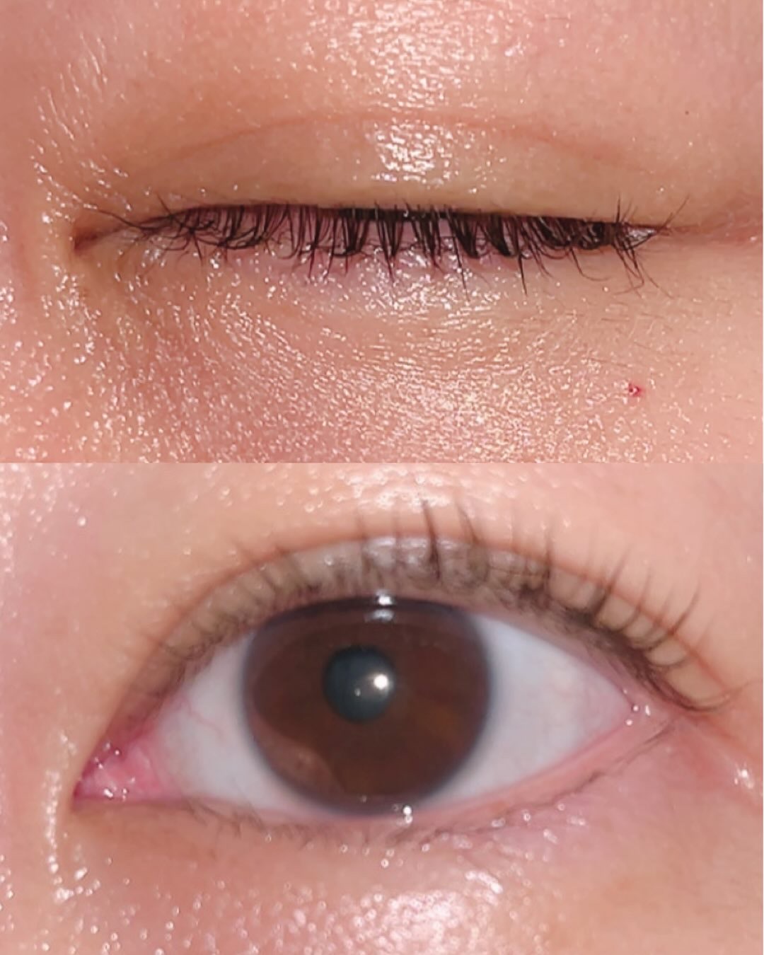 スカルプDまつ毛美容液　クイーン/アンファー(スカルプD)/まつげ美容液を使ったクチコミ（3枚目）