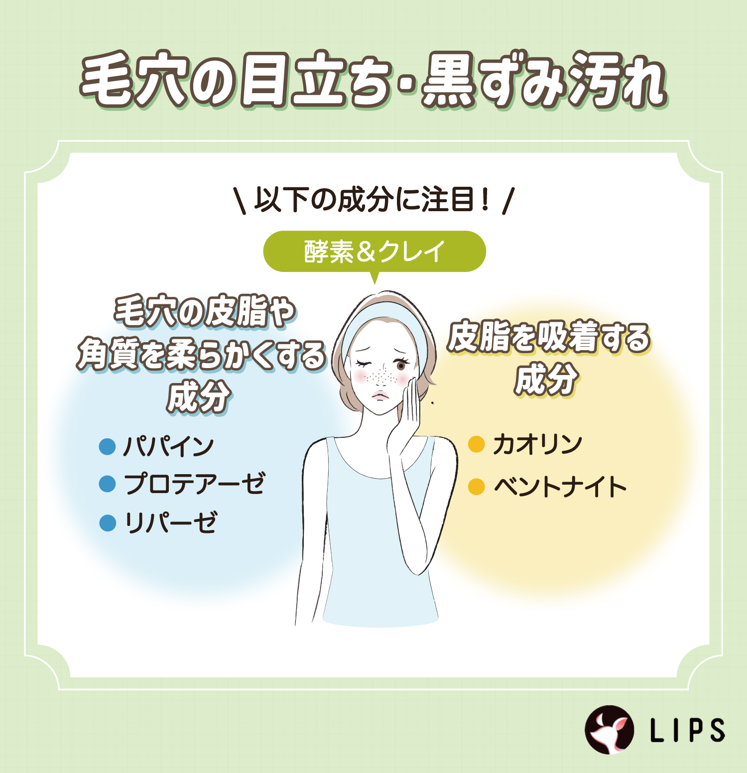 毛穴の目立ち・黒ずみ汚れには酵素＆クレイ。毛穴の皮脂や角質を柔らかくする成分のパパイン・プロテアーゼ・リパーゼや皮脂を吸着する成分のカオリン・ベントナイトに注目。