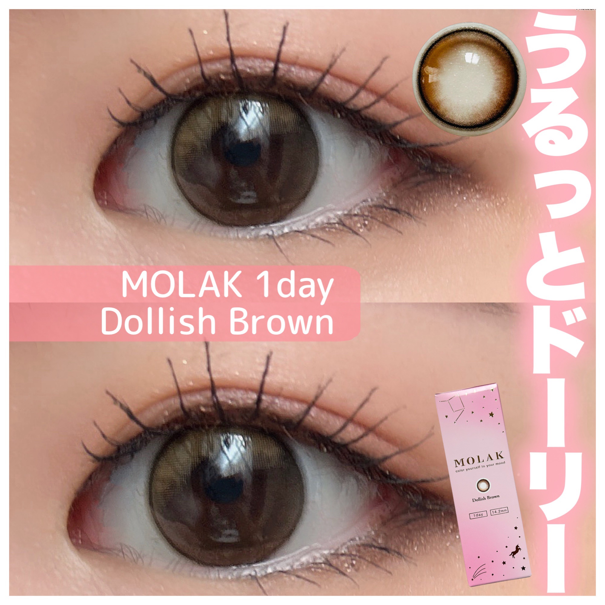 MOLAK 1day ドーリッシュブラウン/MOLAK/ワンデー（１DAY）カラコンを使ったクチコミ（1枚目）