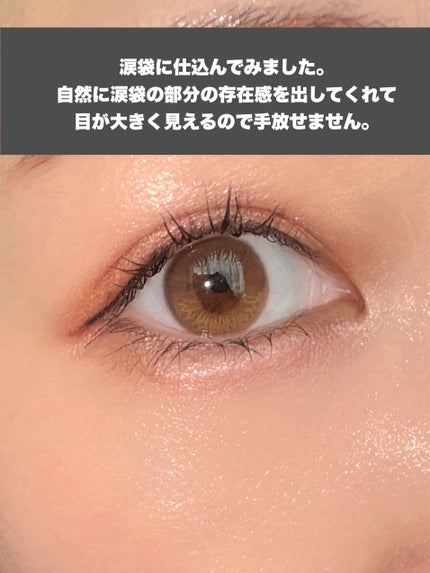 ポール & ジョー シマリング アイカラー/PAUL & JOE BEAUTE/単色アイシャドウを使ったクチコミ(3枚目)