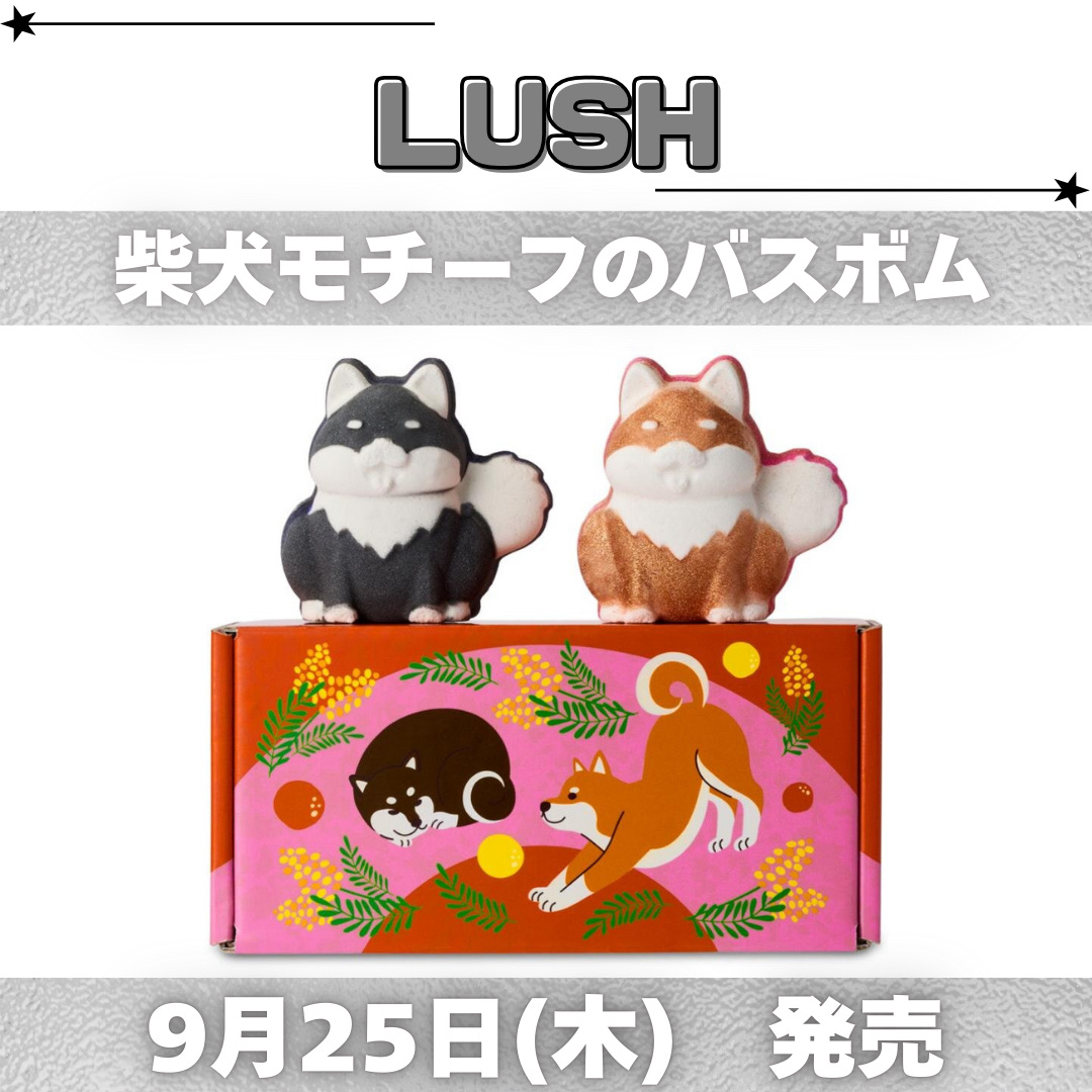 黒柴 ボム（バスボム）/ラッシュ/炭酸系入浴剤を使ったクチコミ（1枚目）