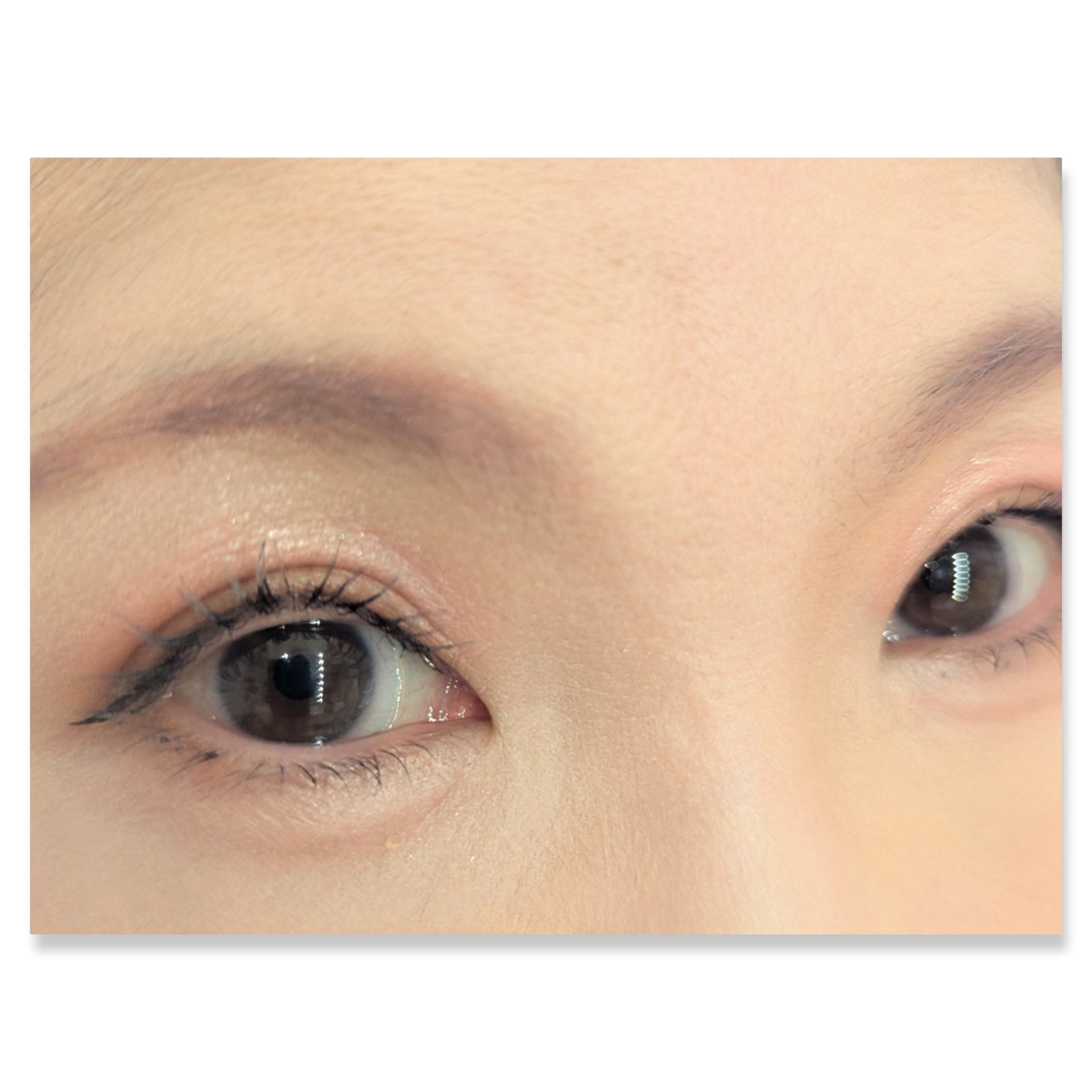 エレガンス ヌーヴェル アイズ/Elégance/アイシャドウパレットを使ったクチコミ（2枚目）