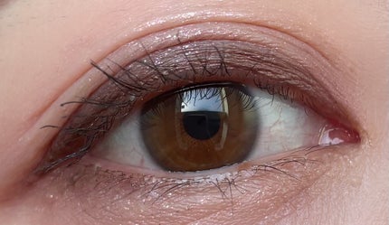 ルナソル アイカラーレーションN/LUNASOL/アイシャドウパレットを使ったクチコミ(2枚目)