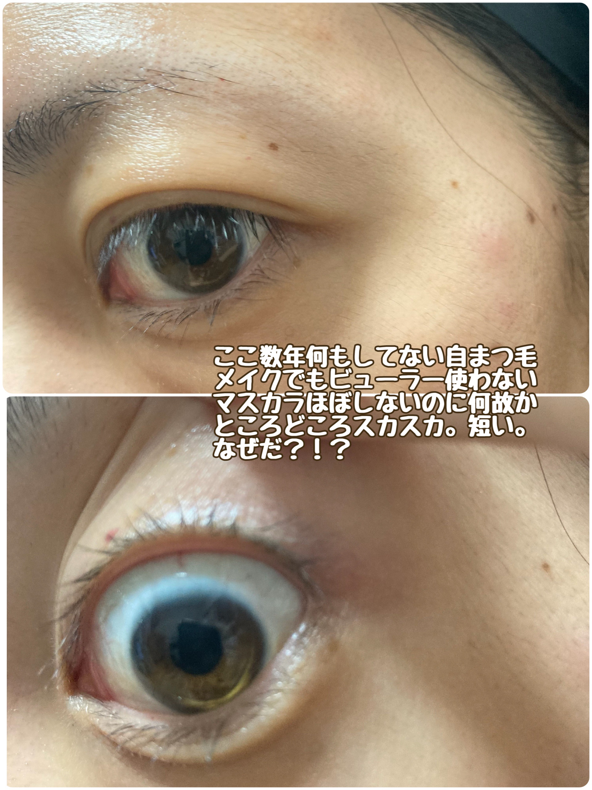 アイラッシュエッセンシャルセラム/epais/まつげ美容液を使ったクチコミ（3枚目）