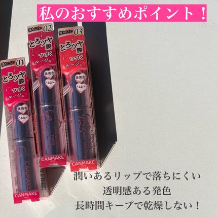 ラスターヴェールルージュ/キャンメイク/口紅を使ったクチコミ(3枚目)