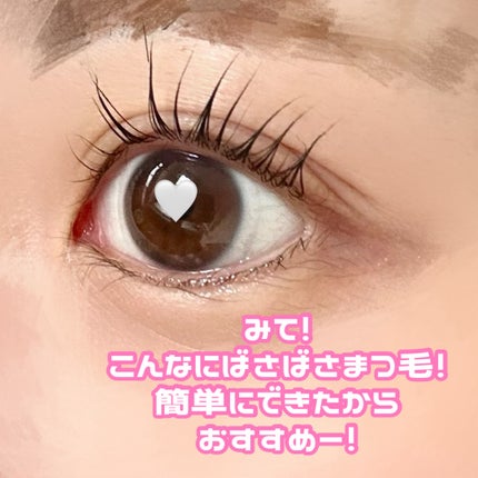 イージーアイラッシュリフトキット/COSNORI/その他キットセットを使ったクチコミ(5枚目)