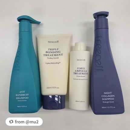 ナイトコラーゲンシャンプーミッドナイトフォレスト/treecell/市販シャンプーを使ったクチコミ(2枚目)