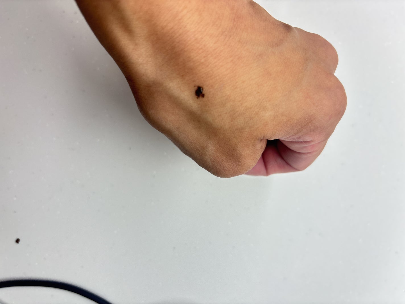 カールフィックスマスカラ/ETUDE/マスカラを使ったクチコミ(2枚目)