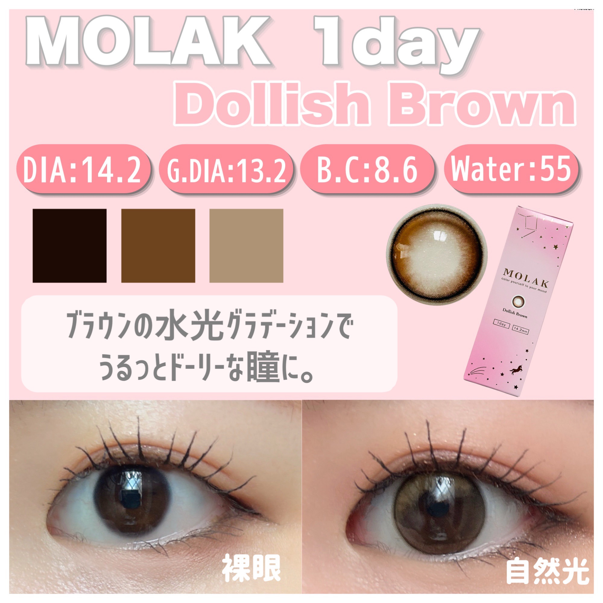 MOLAK 1day ドーリッシュブラウン/MOLAK/ワンデー（１DAY）カラコンを使ったクチコミ（2枚目）
